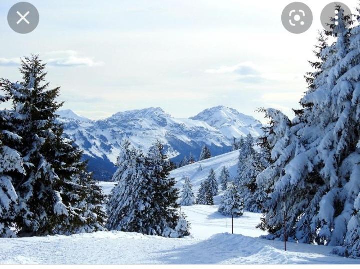 L'oree Des Bois , Detente Et Calme . * Mesigny