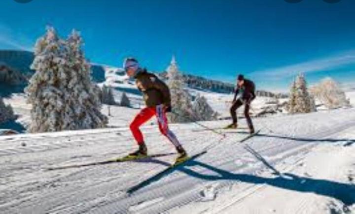 L'oree Des Bois , Detente Et Calme . Chalet